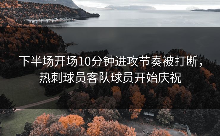 下半场开场10分钟进攻节奏被打断，热刺球员客队球员开始庆祝